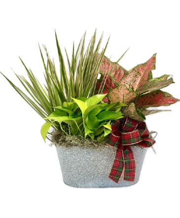 Santa's Garden European Garden Planter in Lubbock, TX | TOWN SOUTH FLORAL