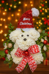 Santa's Little Helper 