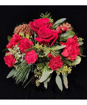 Santa's on his way! Compact