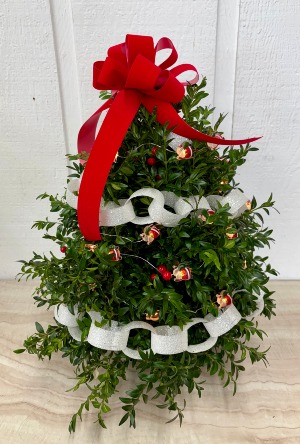 Santa's on His Way Cut Boxwood Tree