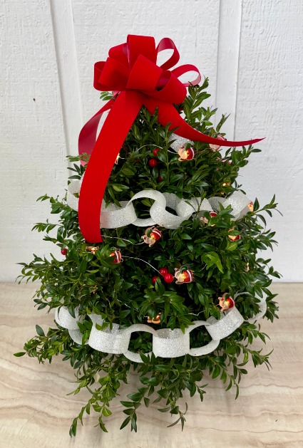 Santa's on His Way Cut Boxwood Tree