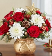 Santas Sack - Special Delivery  