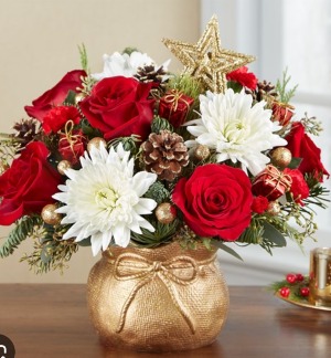 Santas Sack - Special Delivery  