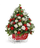 SANTA'S SLEIGH BOXWOOD TREES 