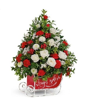 SANTA'S SLEIGH BOXWOOD TREES 