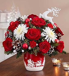 Santa's Sleigh Ride, Arrangement In Keepsake Bowl in Gainesville, FL | PRANGE'S FLORIST Santa's Sleigh Ride, Arrangement In Keepsake Bowl in Gainesville, FL | PRANGE'S FLORIST