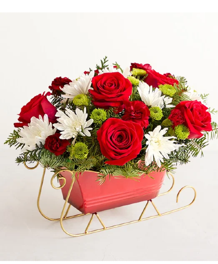 Santa's Sleigh Ride roses