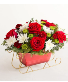 Santa's Sleigh Ride roses
