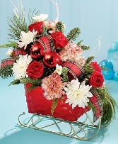 Santas Sleigh 