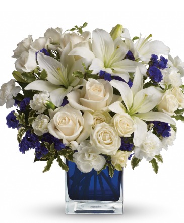 Sapphire Skies Wilsons Most Popular Choice in Arlington, TX | Wilsons In Bloom Florist Sapphire Skies Wilsons Most Popular Choice in Arlington, TX | Wilsons In Bloom Florist