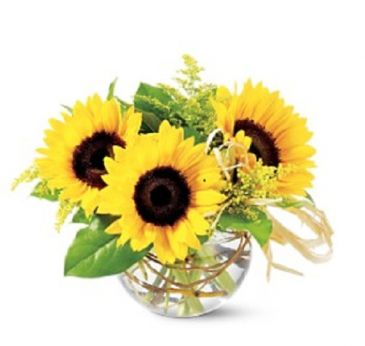 Sassy Sunflowers