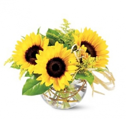 Sassy Sunflowers 