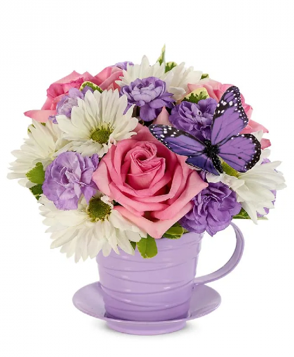 Saucer full of Love(various colors limited supp) Fresh flowers 