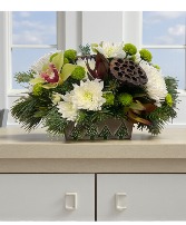 Say It Ain't Snow Container Arrangement