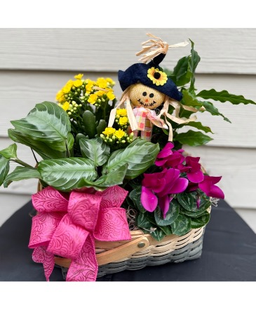Scarecrow Bloomer Basket European Garden in Fairview, OR | QUAD'S GARDEN - Home to Trinette's Floral