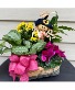 Scarecrow Bloomer Basket European Garden