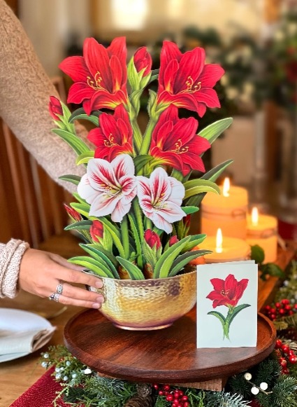 Scarlet Amaryllis Pop Up Greeting Card 