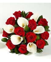 Scarlet Elegance 