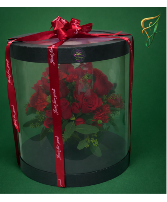 Scarlet Elegance every day