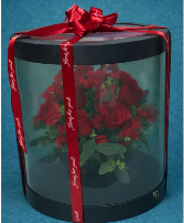 Scarlet Elegance every day