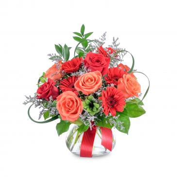 Scarlet Fire Arrangement