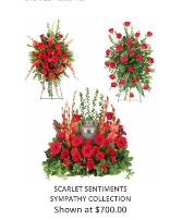 SCARLET SENTIMENTS SYMPATHY COLLECTION