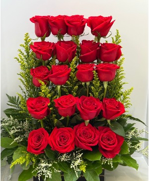 Scarlet Symphony Arrangement