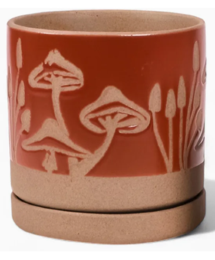 Scavenger Pot and Saucer Pot