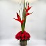 Amor Tropical  Love Arrangement
