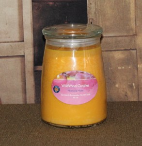 Scented Soy Candle #1 20oz Jar