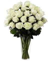 Sea of White Roses