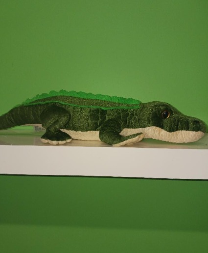 Seaside Alligator  