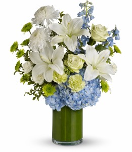 Seaside Splendor H5241A