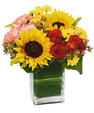 Sunflower Bunch Fenton Florist - Savvy Floral Design