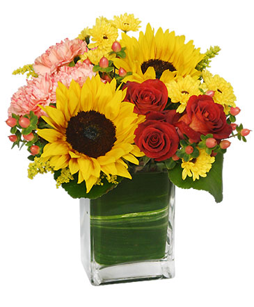 Season For Sunflowers Floral Arrangement in Fitchburg, MA | CAULEY'S FLORIST & GARDEN CENTER
