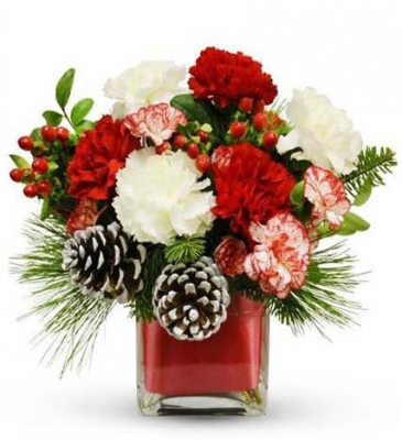 Season Greetings Arrangement