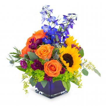 Season of Light Arrangement in Fort Smith, AR | EXPRESSIONS FLOWERS, LLC