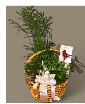 Seasonal Blooming  Plant basket 