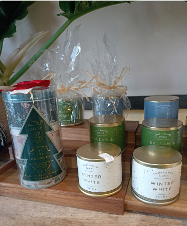 Seasonal Candles  Small or Trio Set  in Glastonbury, CT | THE FLOWER DISTRICT