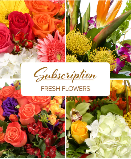 Seasonal Cut Flowers-Vase Flower Subscription