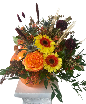 Seasonal Designer's Choice  Pumpkin Arrangement in Mcminnville, OR | POSEYLAND FLORIST