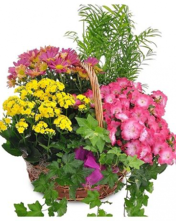 Seasonal Garden Basket.  We will create a seasonal design  in Ozone Park, NY | Heavenly Florist