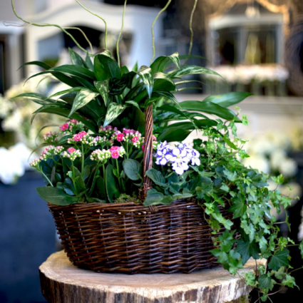 Seasonal Plant Basket