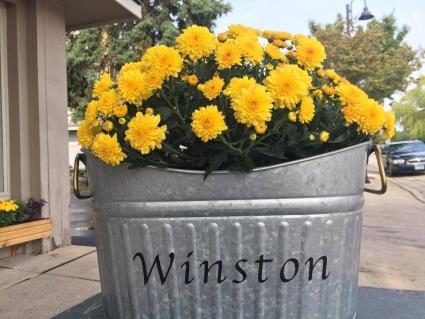 Seasonal Plants-Garden Mum