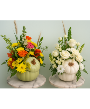 Seasonal Pumpkin Collection  By Enchanted Florist of Cape Coral 