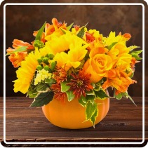 Seasonal Pumpkin 