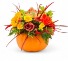 Seasonal Pumpkin 