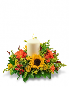 Category Image
