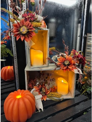 Seasonal Serenity 