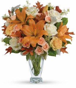 Seasonal Sophistication HFL102A